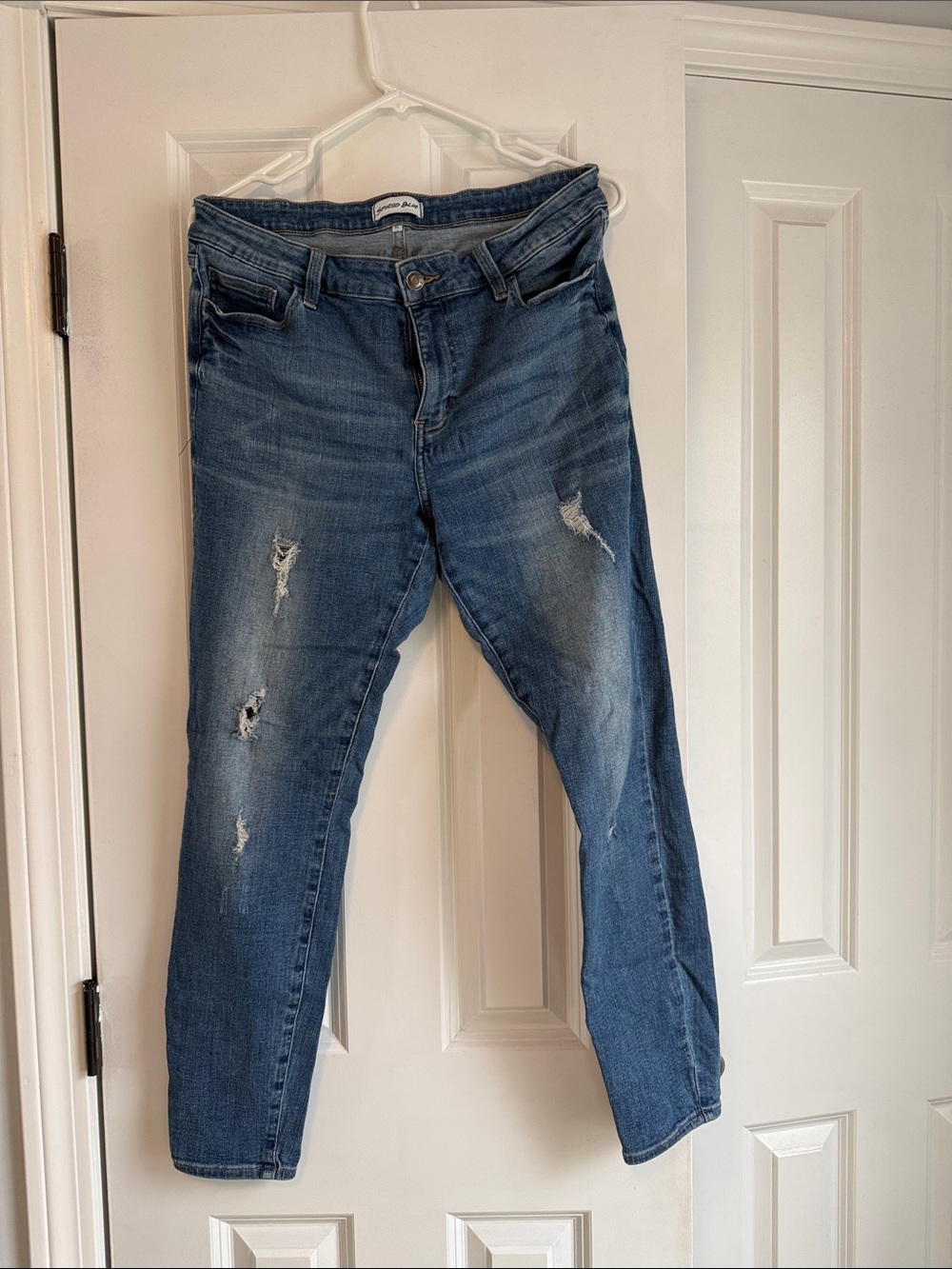 Women’s Skinny Distressed Blue Jeans